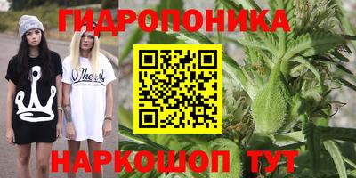 дмт Лесосибирск