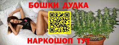 гашик Ликино-Дулёво